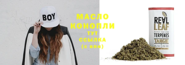 бошки Ельня