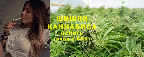 бошки Ельня