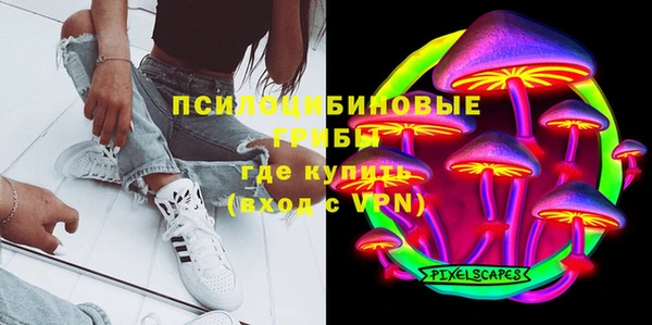бошки Ельня