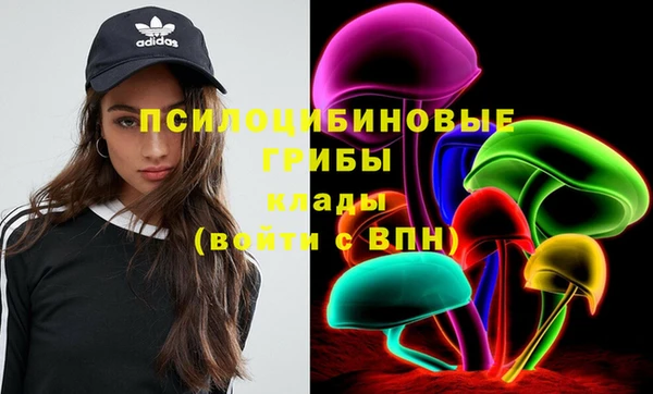 герыч Елабуга